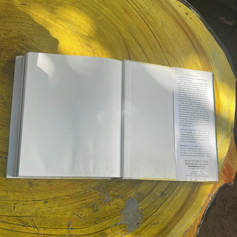 YOU HAVING A BABY- MICHAEL F. ROIZEN, MD& MEHMET C.OZ, MD 695045