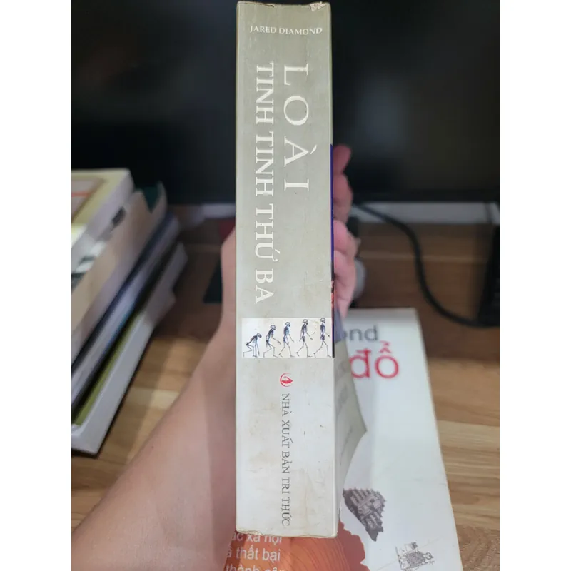 Loài tinh tinh thứ 3 739269