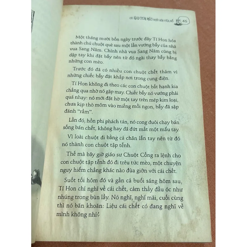 Có hai con mèo ngồi bên cửa sổ 🌊 599769