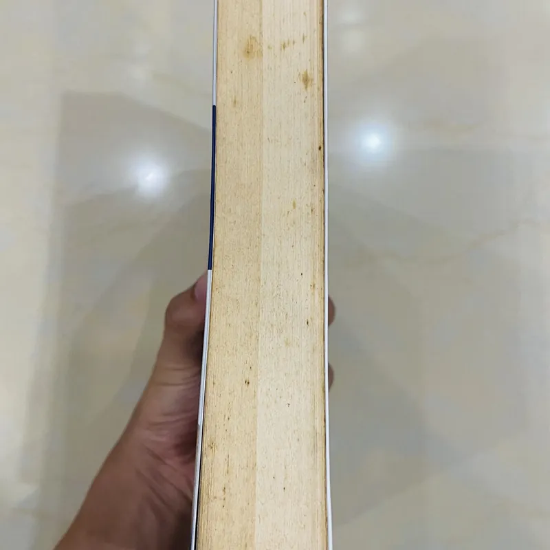 Sách Sống sao trong thời đại số 576159