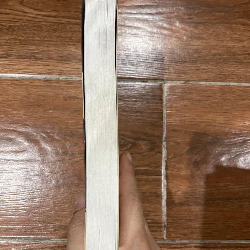 Chân trời có người bay - Đỗ Lai Thuý (8) 1004781