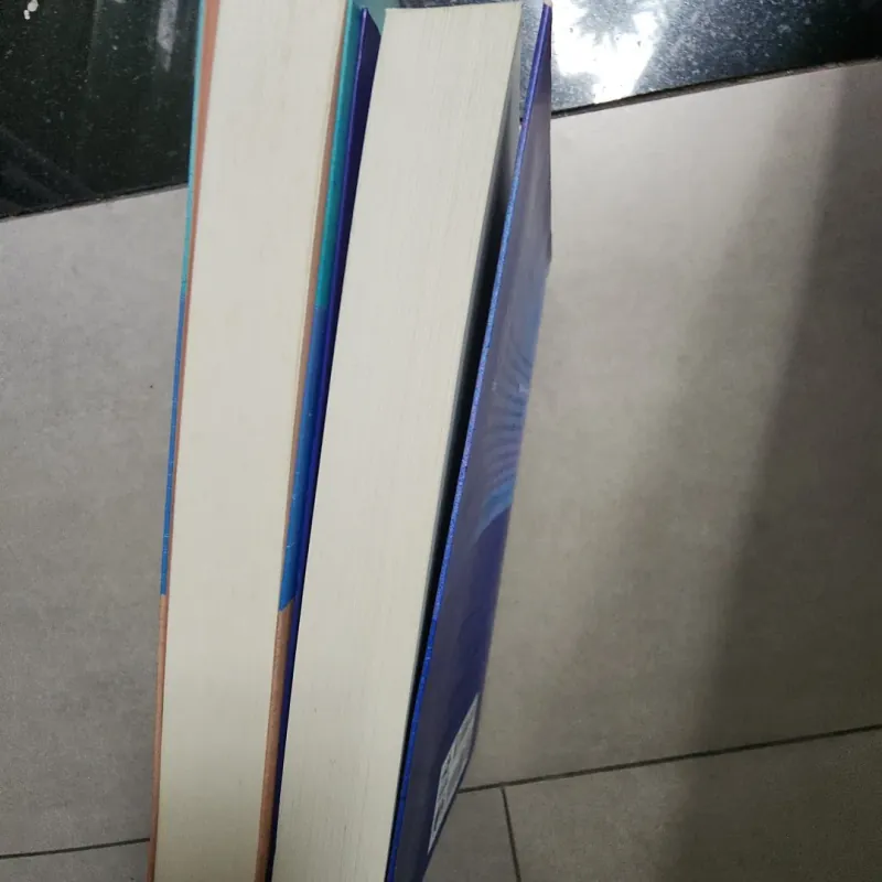 Sách combo 2 quyển Kho báu bị nguyền rủa và Vết khắc hằn trên cát của Bussi 503542