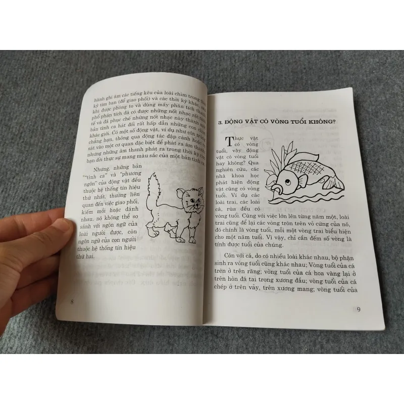 NHỮNG CÂU HỎI LÝ THÚ VÀ THÔNG MINH 2 719842