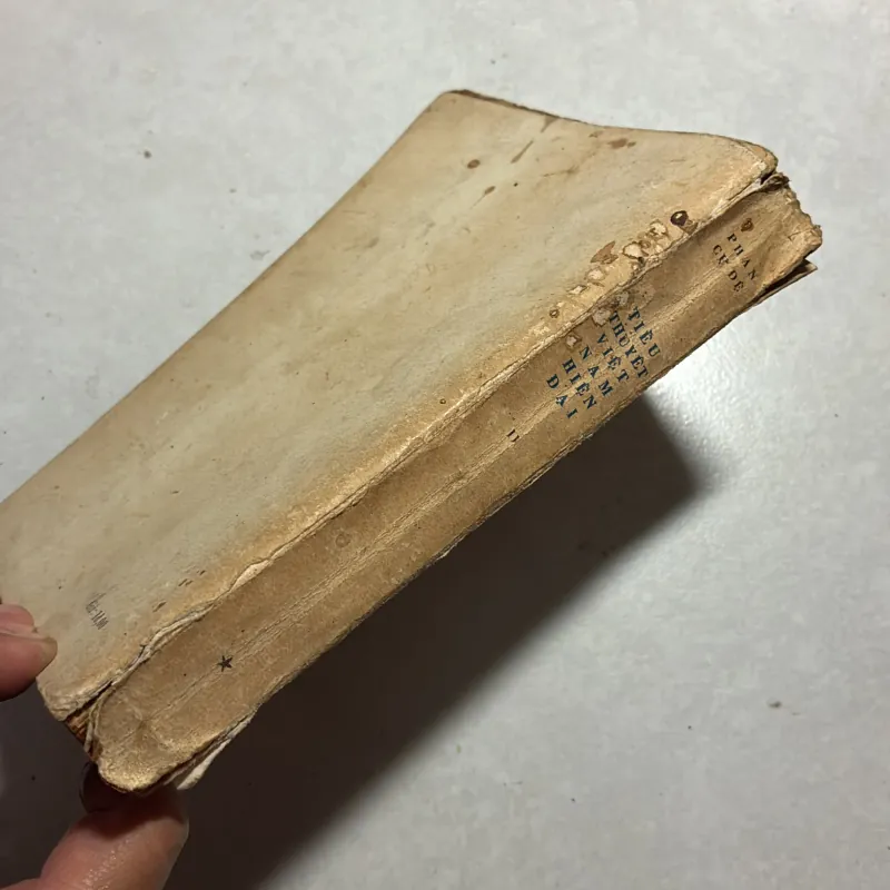 Tiểu thuyết Việt Nam hiện đại Tập 2 - Phan Cự Đệ - 1975s 797592