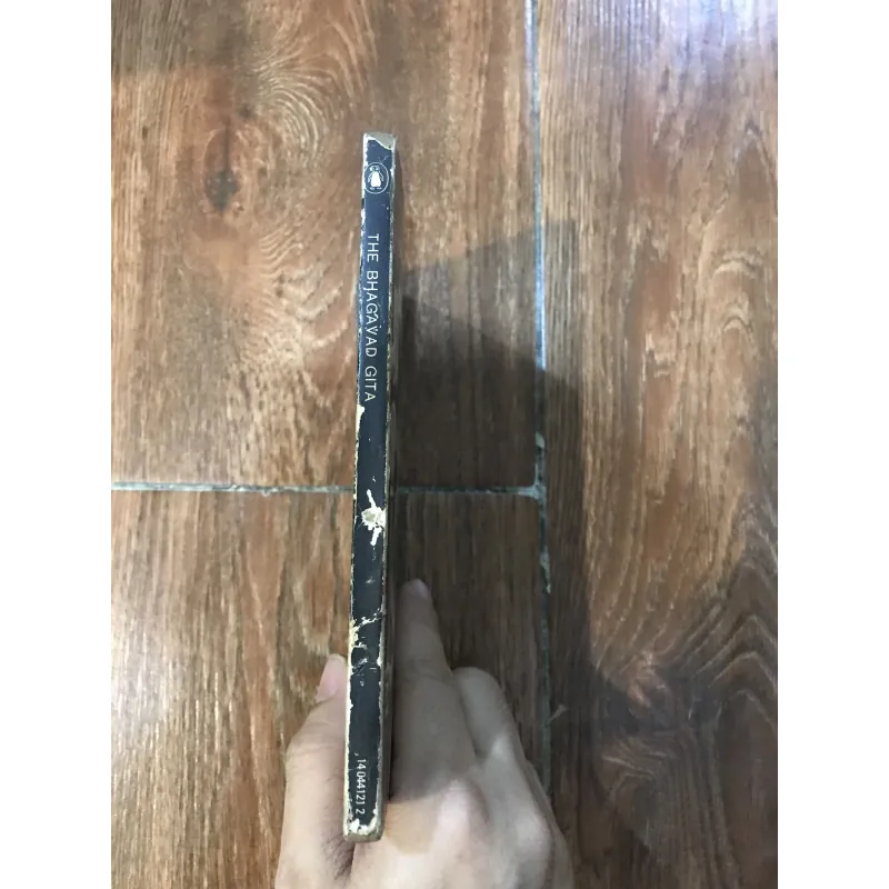 The Bhagavad Gita (8) 1012846