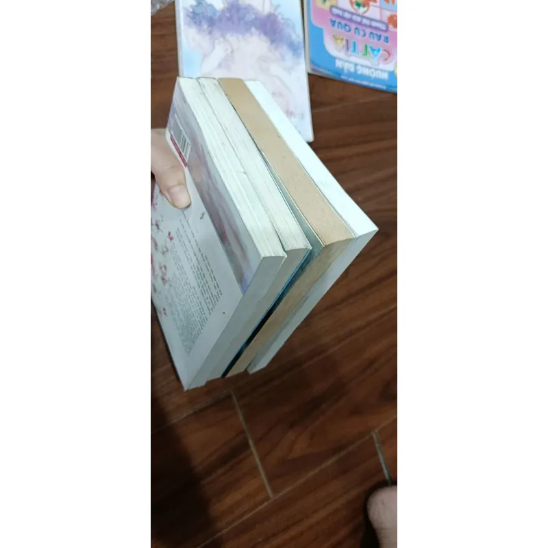 Bộ Linh Thần Hệ Liệt 4 tập (Hoàn khố, Diễm quỷ, Hồ duyên, Tư phàm), Mới 80%, (NguyenN) 976376