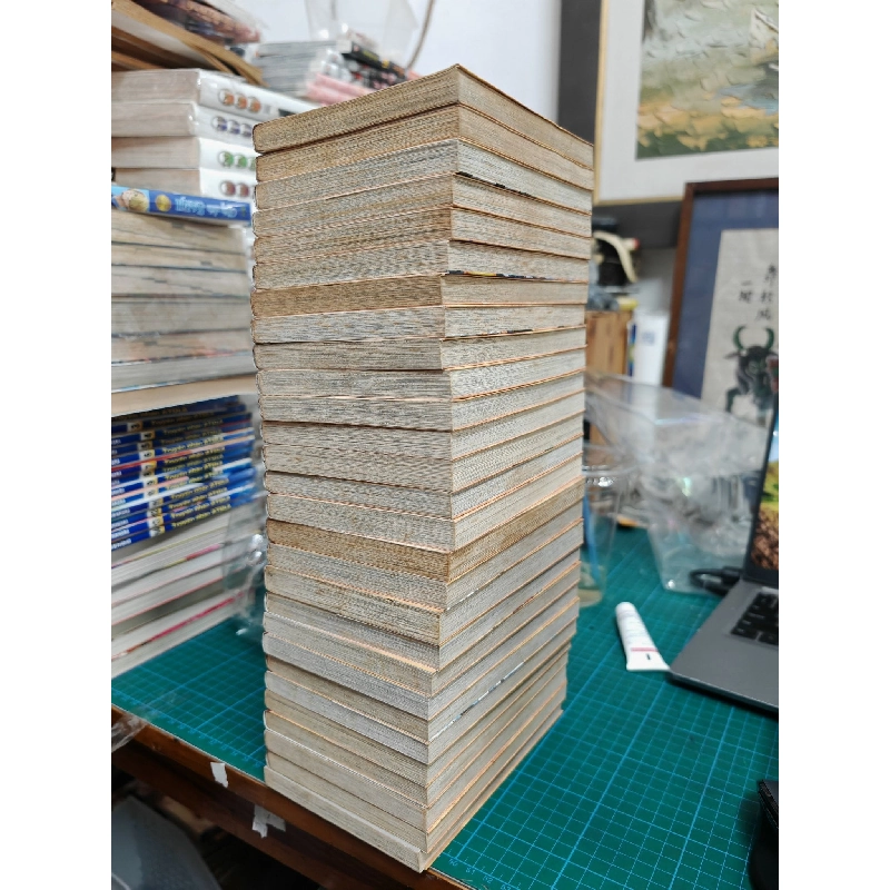 TRUYỆN TRANH FAIRY TAIL ( FULL / LẺ ) 386663