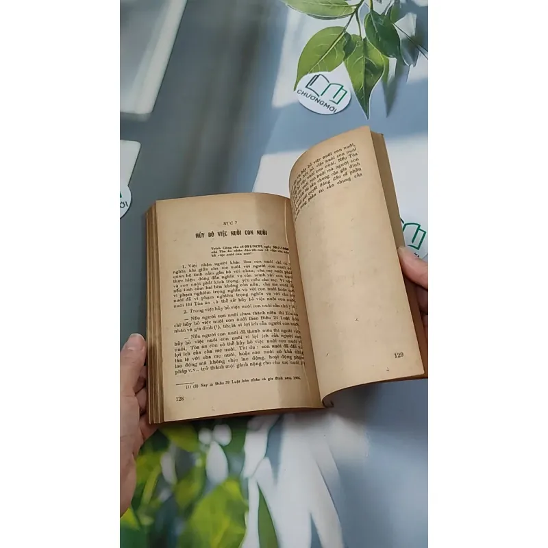 [XƯA] Luật Lệ Về Hôn Nhân Và Gia Đình (1987) 776079