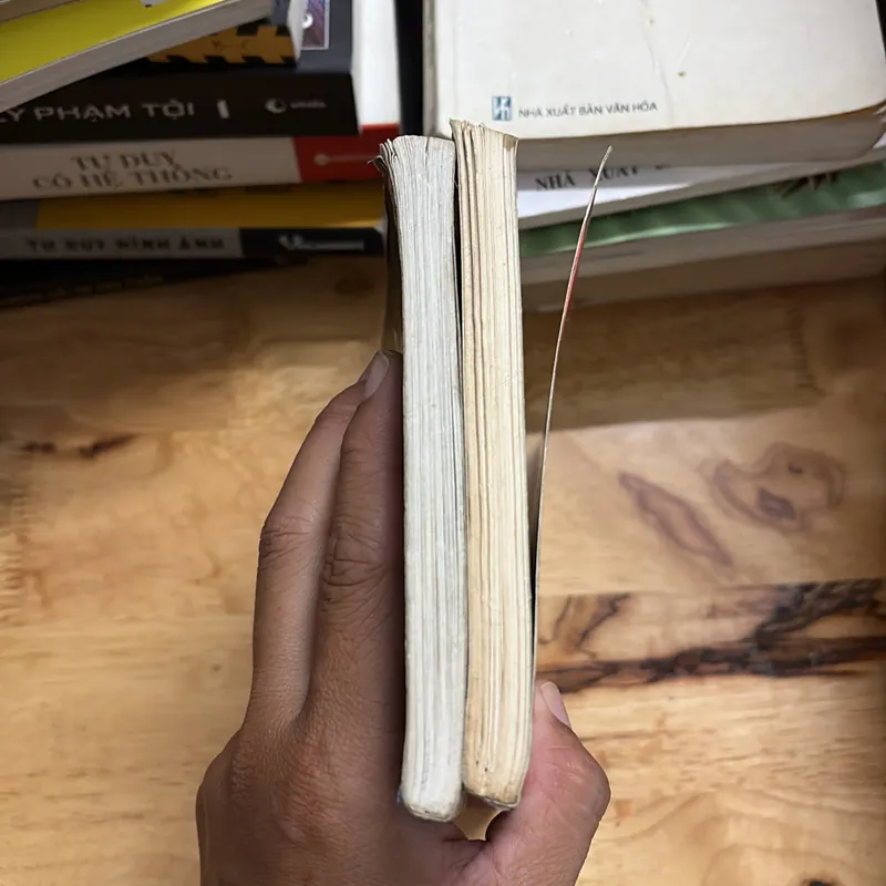 II Combo Sách: Phút Nhìn Lại + Hạt Giống Tâm Hồn _ Từ Những Điều Bình Dị 698018