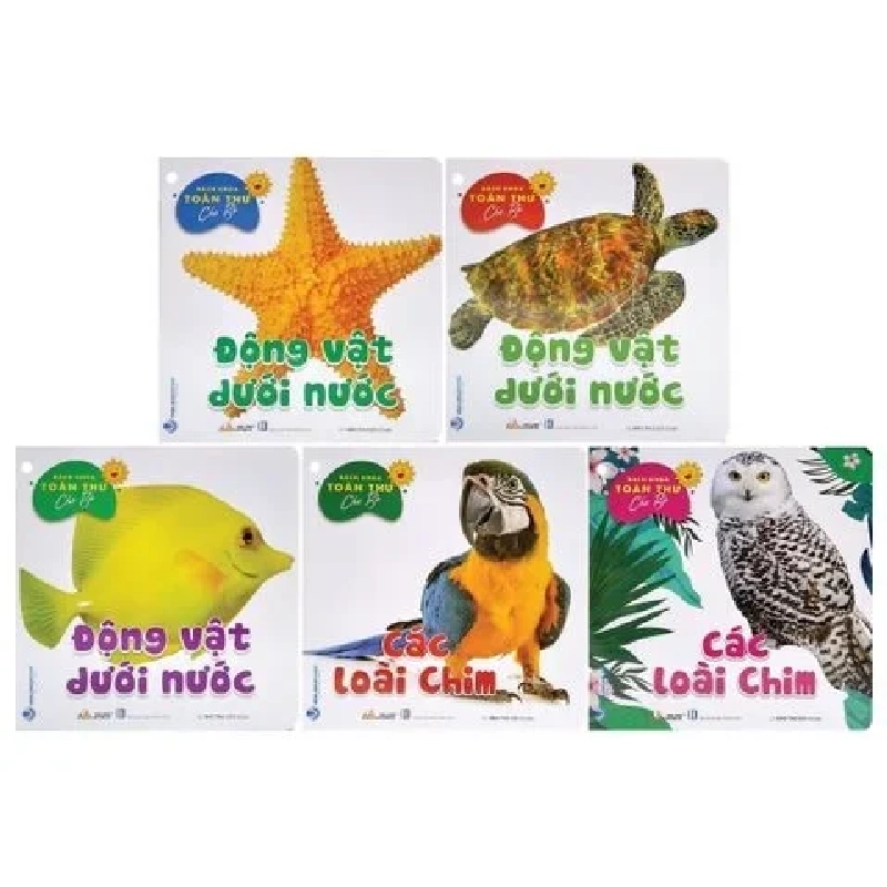 Bách khoa toàn thư cho bé - Động vật dưới nước (bộ 5C) mới 100% HCM.PO Bảo Thư 343665