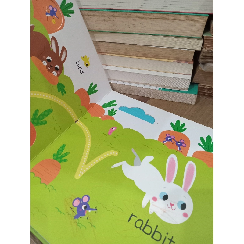 Touch, feel and follow the trails: Animals 800440