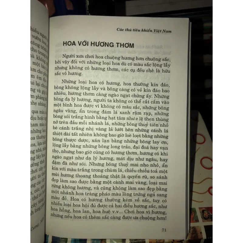 Các thú tiêu khiển Việt Nam - Toan Ánh 758942