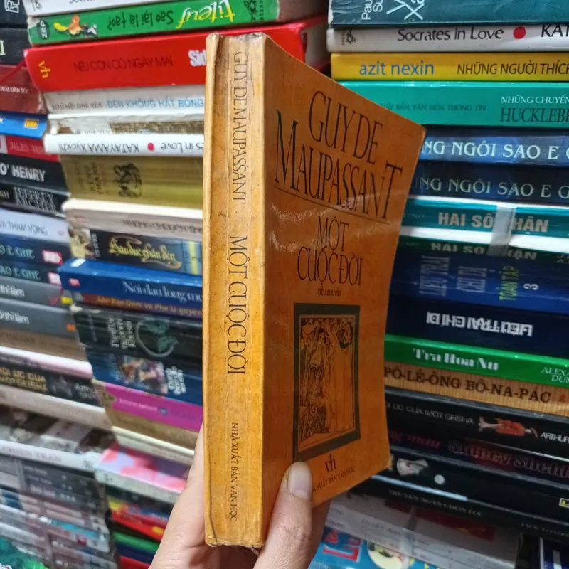 Một Cuộc Đời- Guyde Maupassant 692830