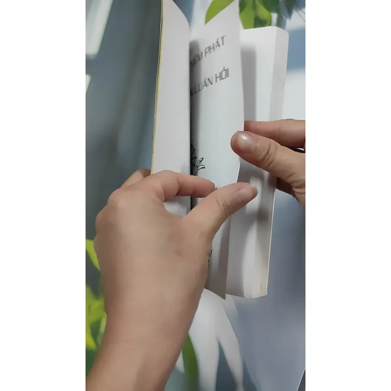 Kinh Nghiệm Niệm Phật Và Những Chuyện Luân Hồi - Cư Sĩ Diệu Âm - Diệu Ngộ 776139