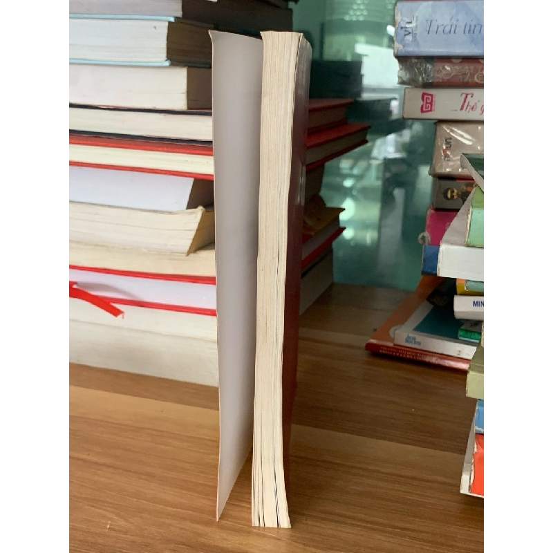 Thanh tra lại những vấn đề lý luận và thực hiện-Thanh Tra chính phủ 728008