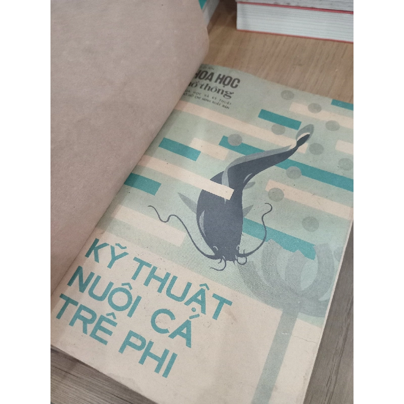 Kỹ thuật nuôi cá trê phi 706078