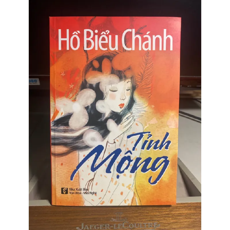 Tỉnh Mộng- Hồ Biểu Chánh- NXB Văn Hoá Văn Nghệ 2014- Sách lưu kho mới 95% STB1271 Blogmeo 27525 584943