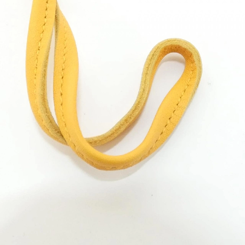 Charm túi Rodeo MM 064930CA - Hàng hiệu Authentic 773108