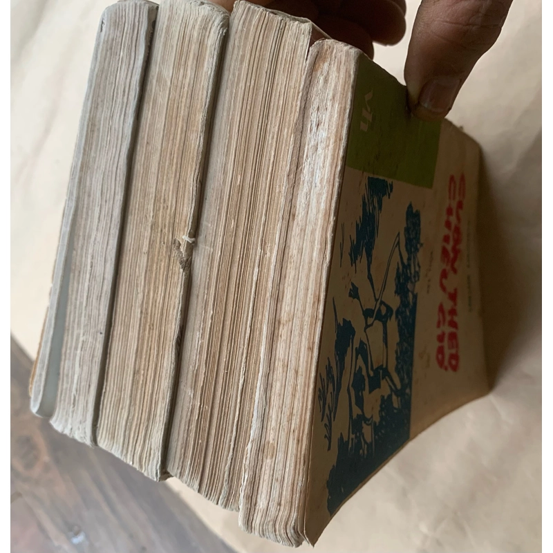 Cuốn theo chiều gió, bốn tập, Dương Tường dịch 335617
