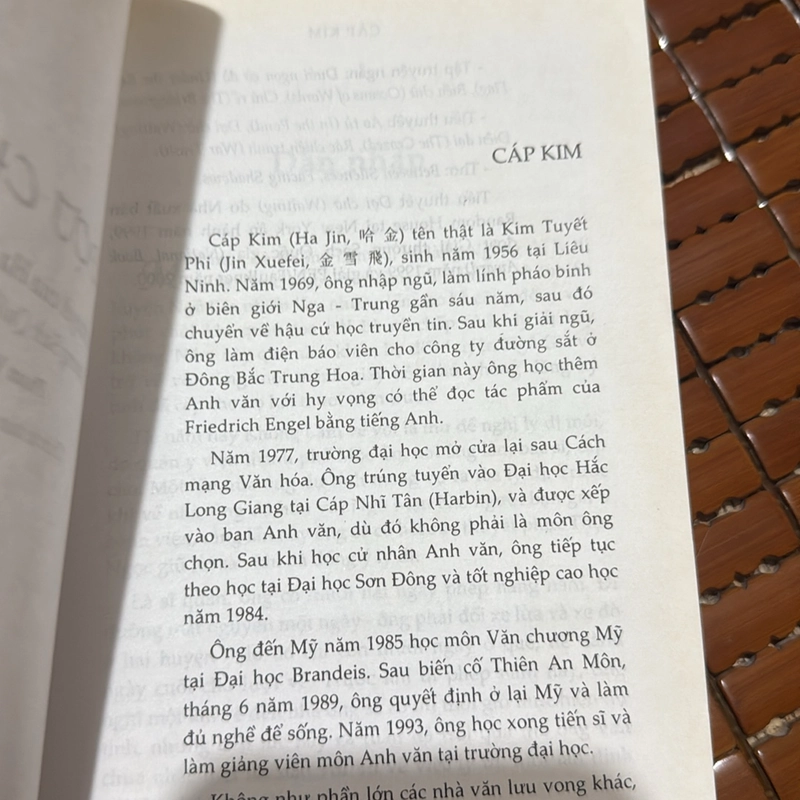 Đợi chờ - Cáp Kim 532134