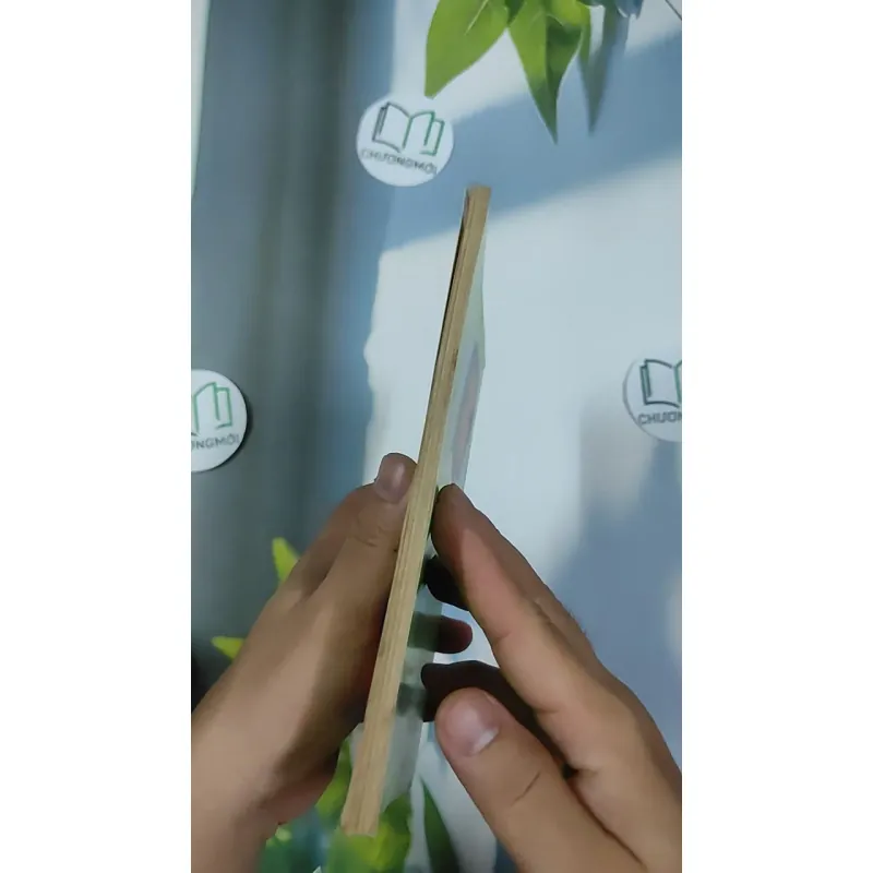 [XƯA] Tình Khúc (1995) - Trang Hạ 798487