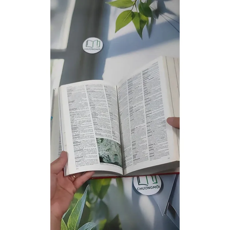 [MIỄN PHÍ BỌC SÁCH] Le Petit Larousse Illustré 2001 990523