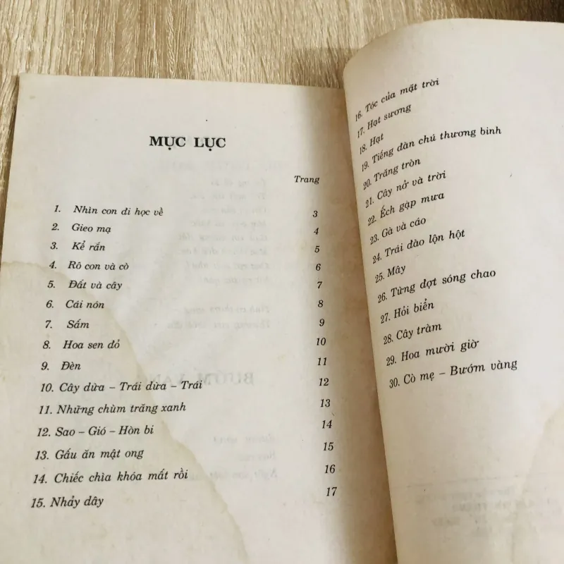 CÂY NỞ RA TRỜI 929141