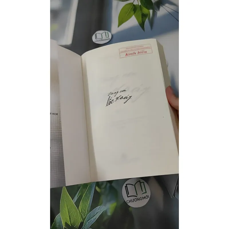 Trong Cơn Lốc Xoáy  2 - Trầm Hương 1018878