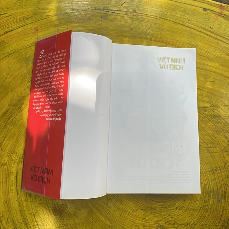 Việt Nam vô địch 463693