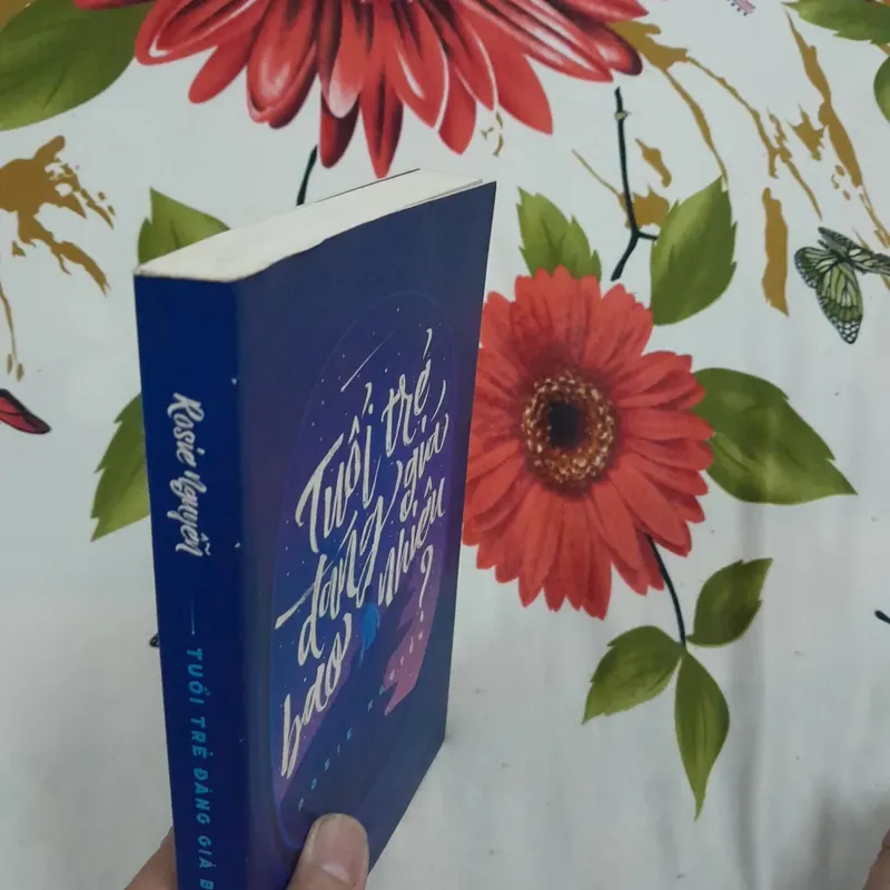 Tuổi trẻ đáng giá bao nhiêu? Rosie Nguyễn 602828