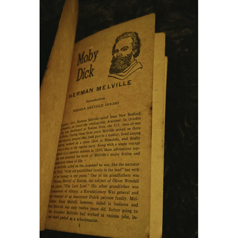 Moby Dick (English) 698197