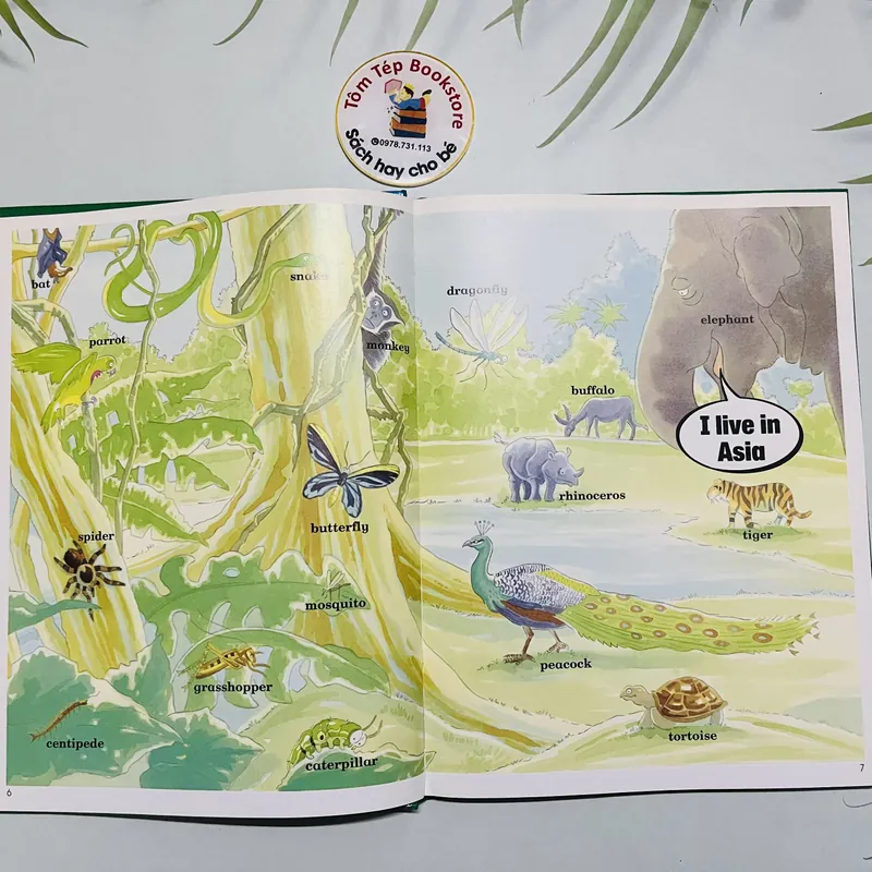 Learning English with OZMO Dictionary từ điển thiếu nhi 690038