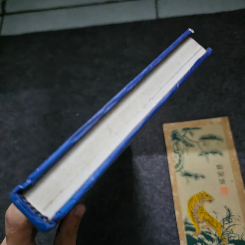 Tác giả thế kỷ 20 - Bửu Ý 738640