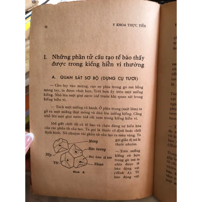 Ấp xe phổi - BS Lương Phán và BS Nguyễn Thị Lợi  1001822