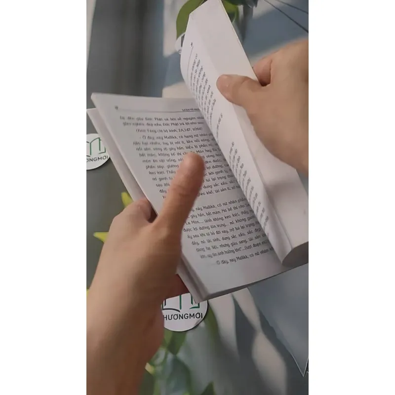 Luận Về Nhân Quả - Chân Quang 928517