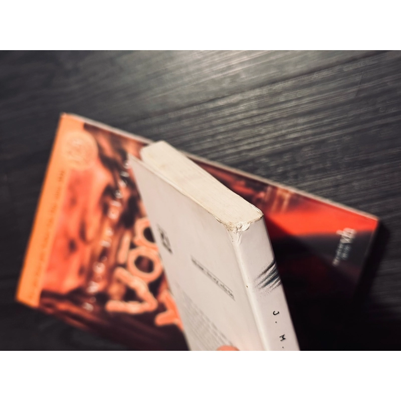 Combo bão + Vòng xoáy - JM. Clezio 489750