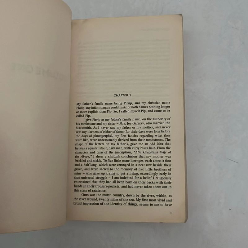 Great Expectations - Charles Dickens (Ngoại văn) 502103