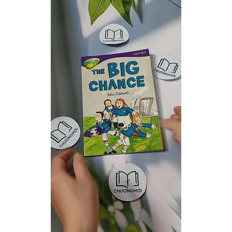 Oxford Reading Tree - Stage 11: TreeTops More Stories A: The Big Chance 703070