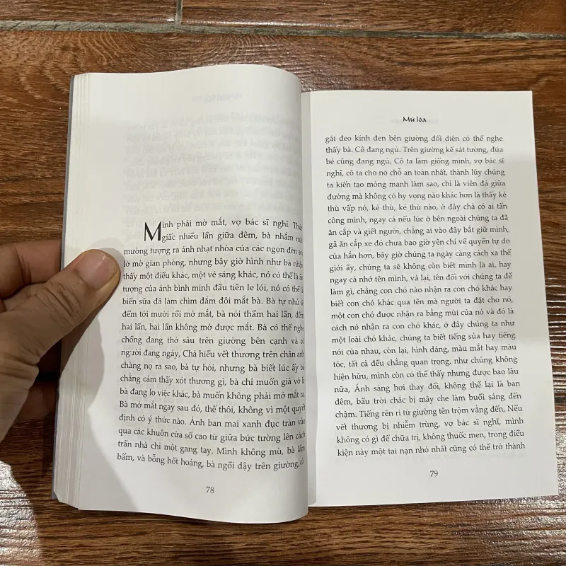 Mù Lòa - Jose Saramago (7) 1020337