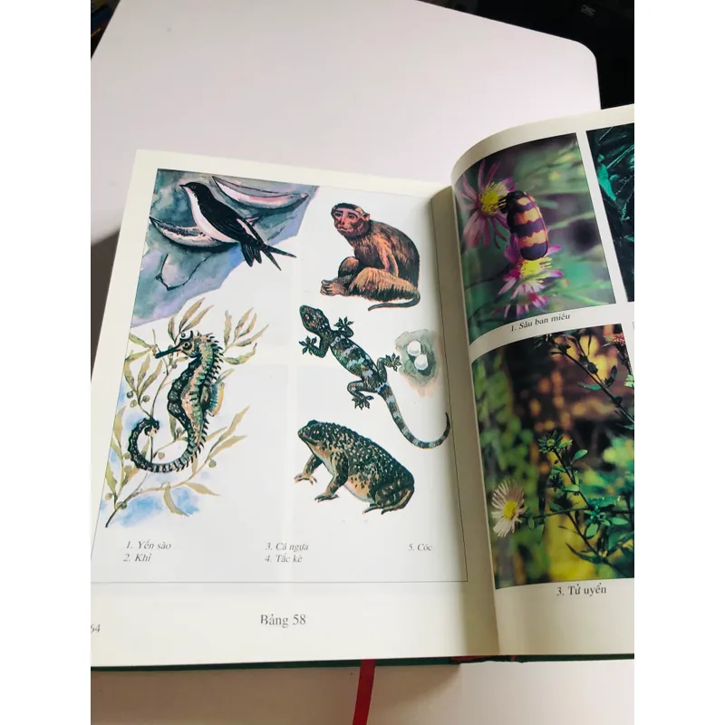 2. 📚 NHỮNG CÂY THUỐC VÀ VỊ THUỐC VIỆT NAM – Đỗ Tất Lợi Bìa cứng, khổ to, 1.272 trang 557999