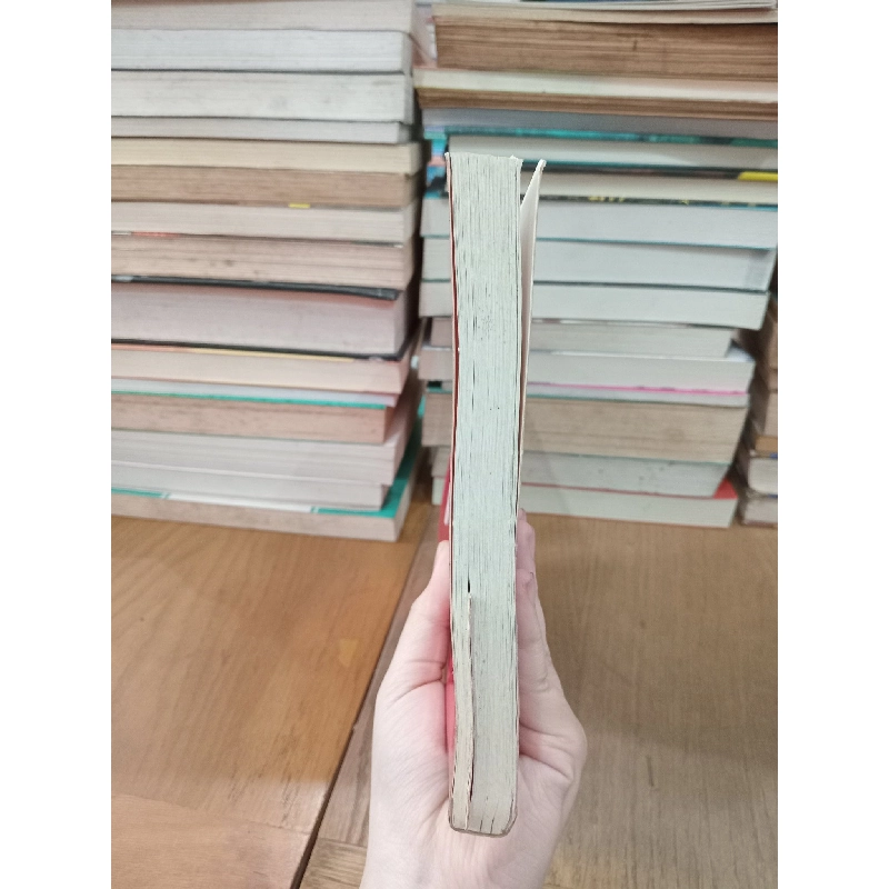 Learning to teach Realistic Mathematics in Vietnam - Nguyen Thanh Thuy 737908