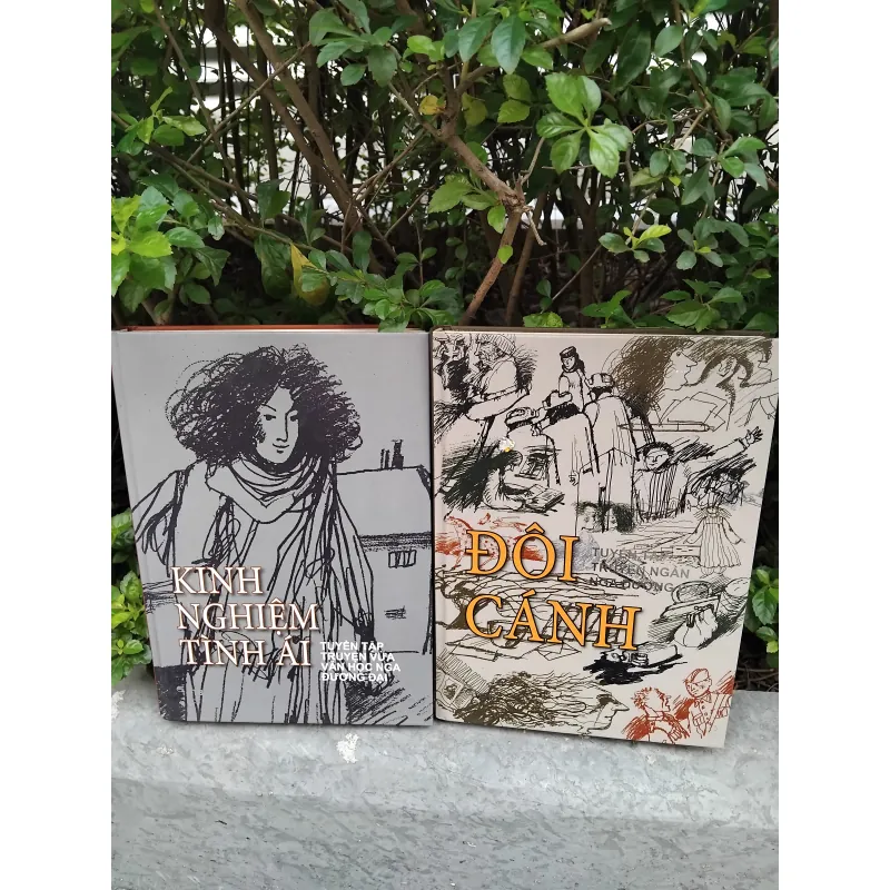 Đôi cánh + Kinh nghiệm tình ái combo 1002602