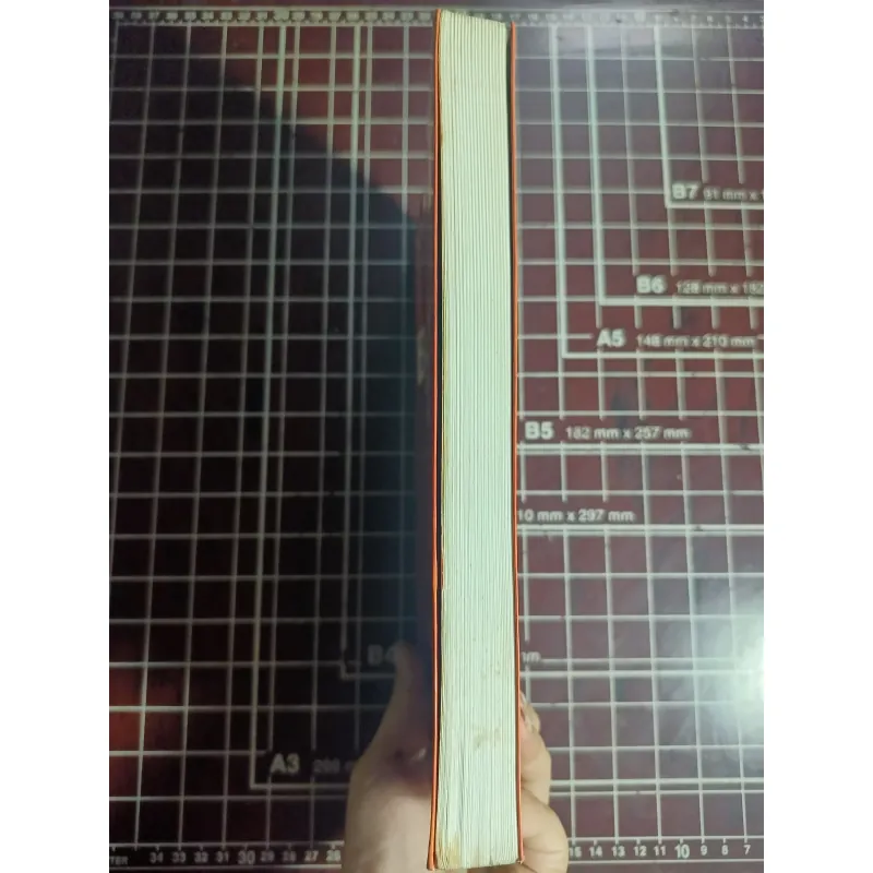 Biến động kinh tế Đông Á và con đường công nghiệp hóa Việt Nam - Trần Văn Thọ 754623