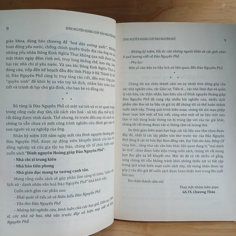 Đình Nguyên Hoàng Giáp Đào Nguyên Phổ 1030472