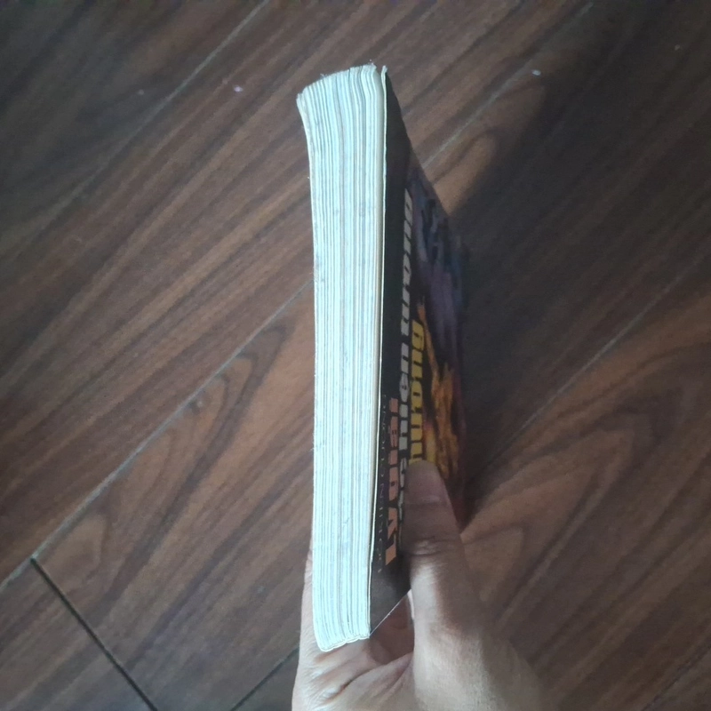 Lý giải các hiện tượng dị thường 552428