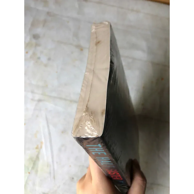 The Half Sister - Sandie Jones 801096