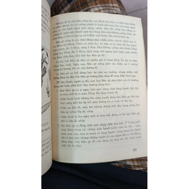 CÂY RAU LÀM THUỐC - VÕ VĂN CHI 746967