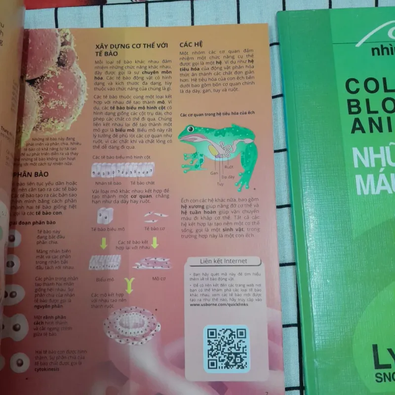 2 sách động vật ảnh màu - THẾ GIỚI ĐỘNG VẬT & ĐỘNG VẬT MÁU LẠNH (Cold blood) 567604