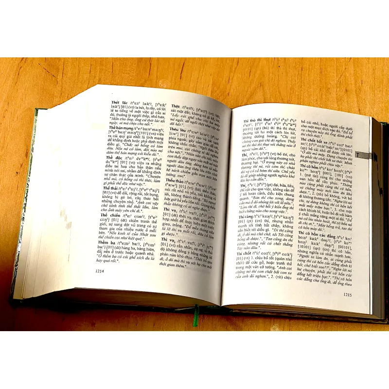 TỪ ĐIỂN TỪ NGỮ NAM BỘ 1000299