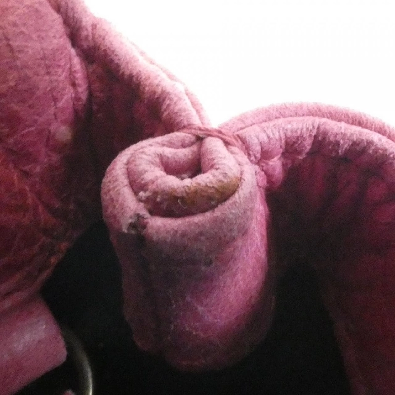 Balenciaga 224895 Túi đeo 623911